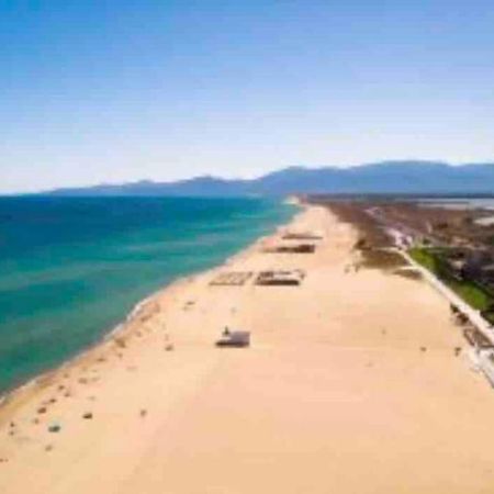 Coquet Appartement Canet-en-Roussillon Eksteriør billede